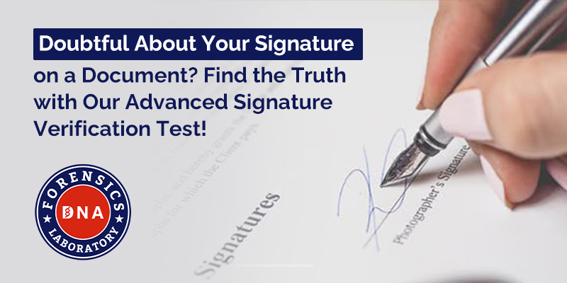 Signature Verification