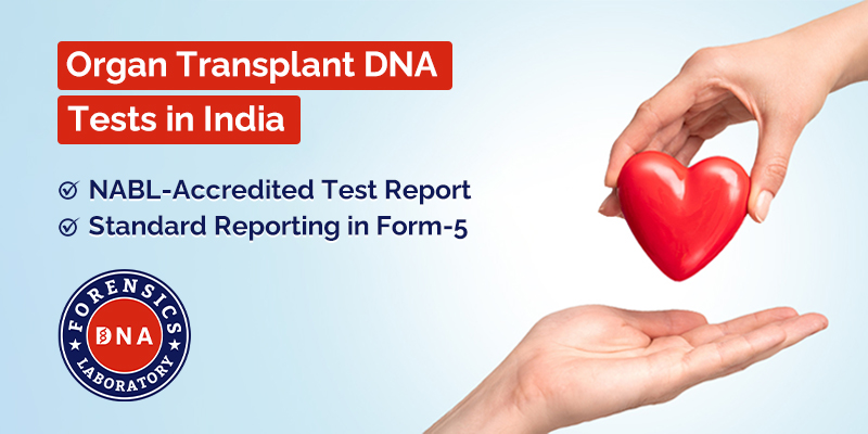 Organ Transplant DNA Tests in India