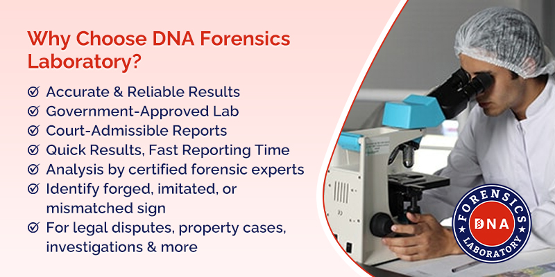 Signature Verification